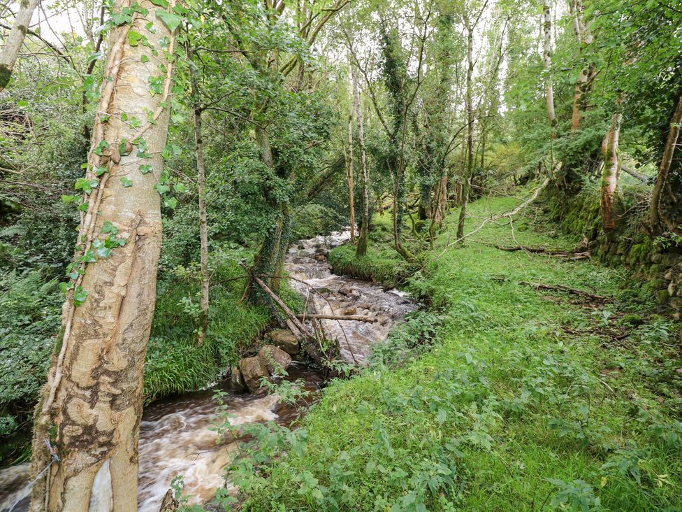 A view of a river flowing through trees and grass at The Cottage in Ballinagleira