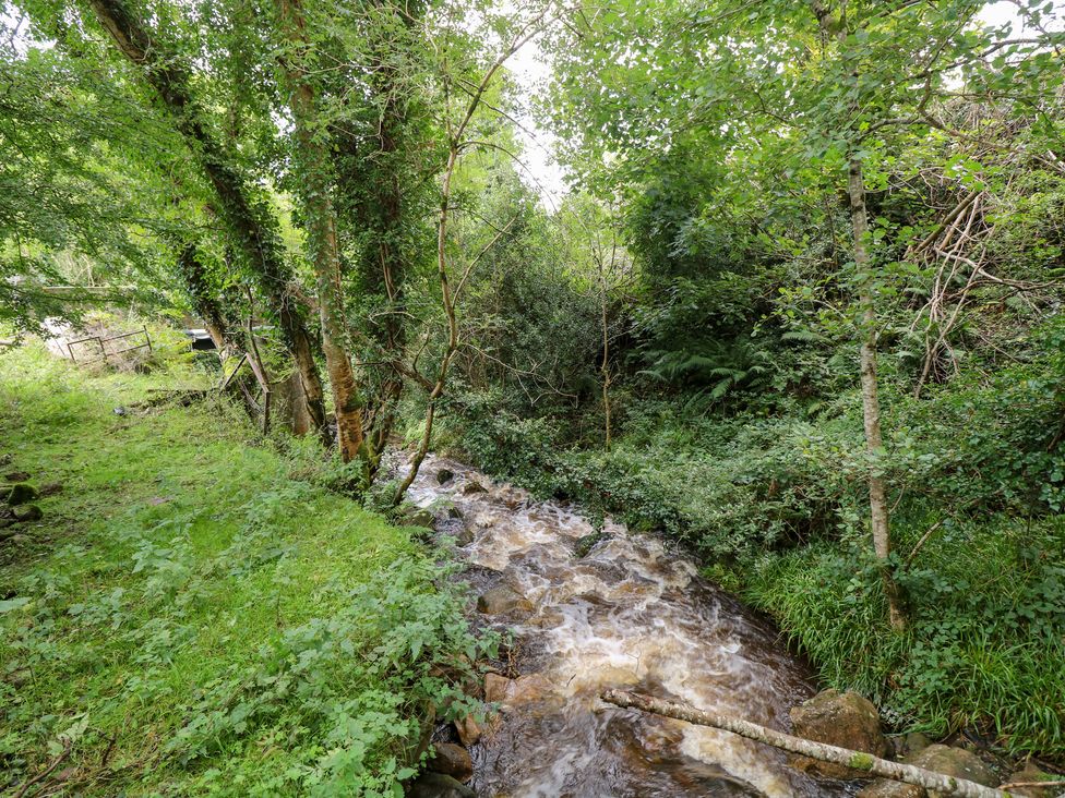A stream flowing through a wooded area at The Cottage in Ballinagleira