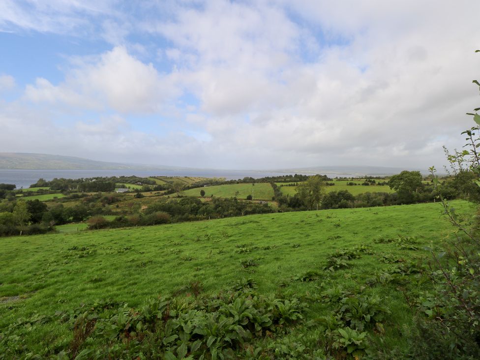 A landscape view with grass and trees near a lake at The Cottage in Ballinagleira