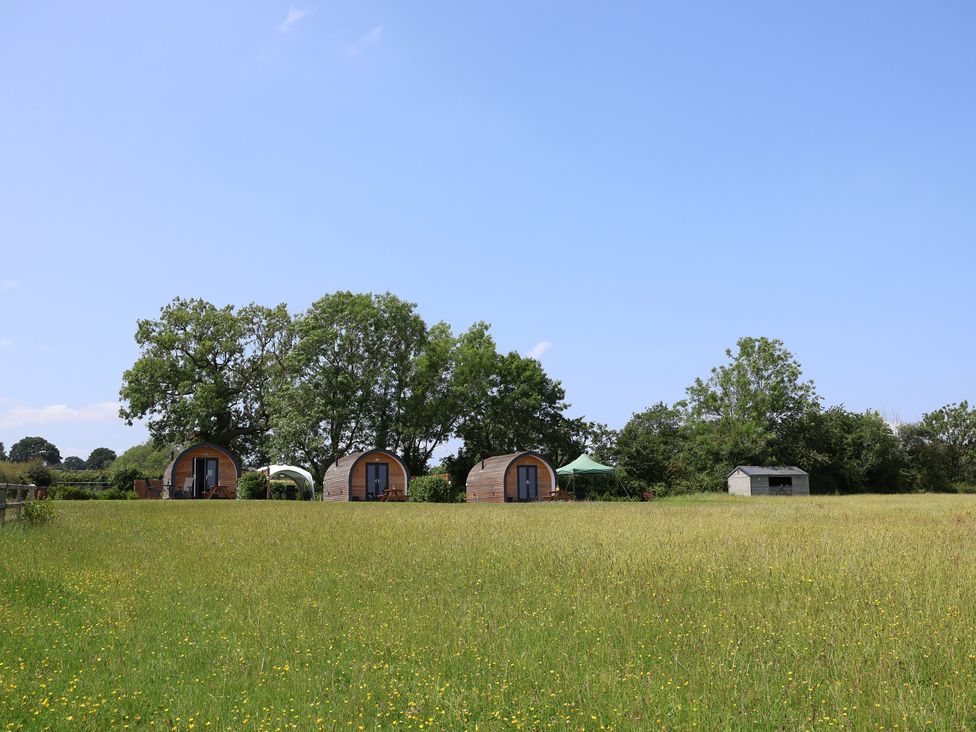 Three huts in a field with trees and a shed at Honeypot Hideaways - Clover
