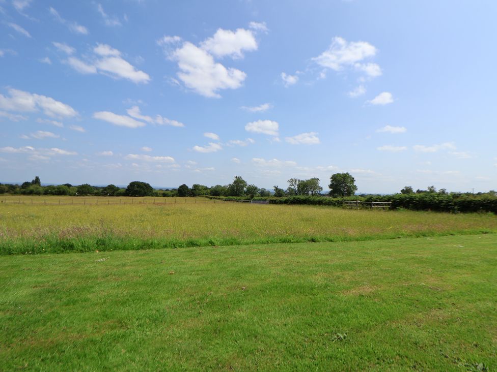 A field with grass and trees at Honeypot Hideaways - Clover