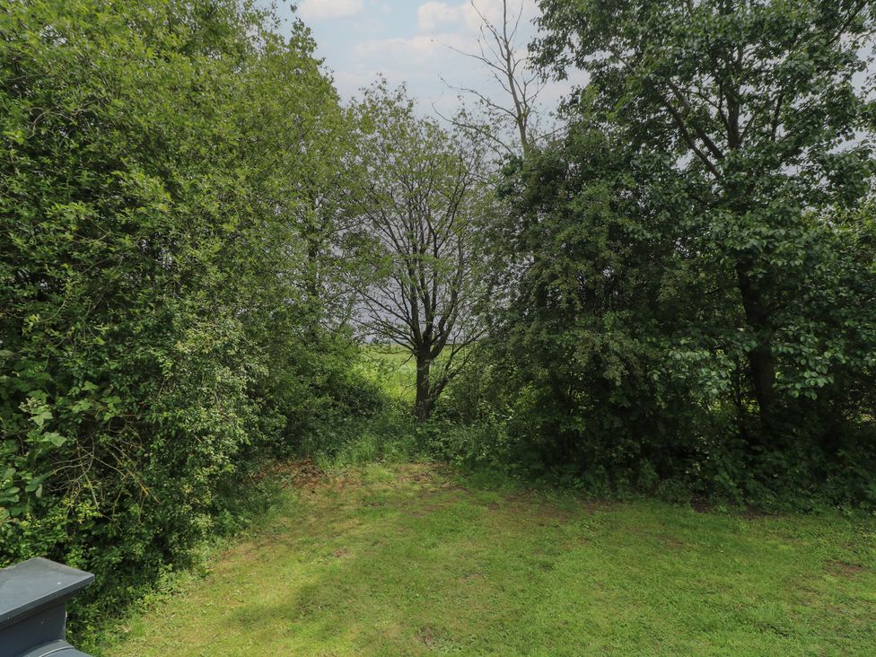 A clearing among trees with grass at Lodge 13 Brigg