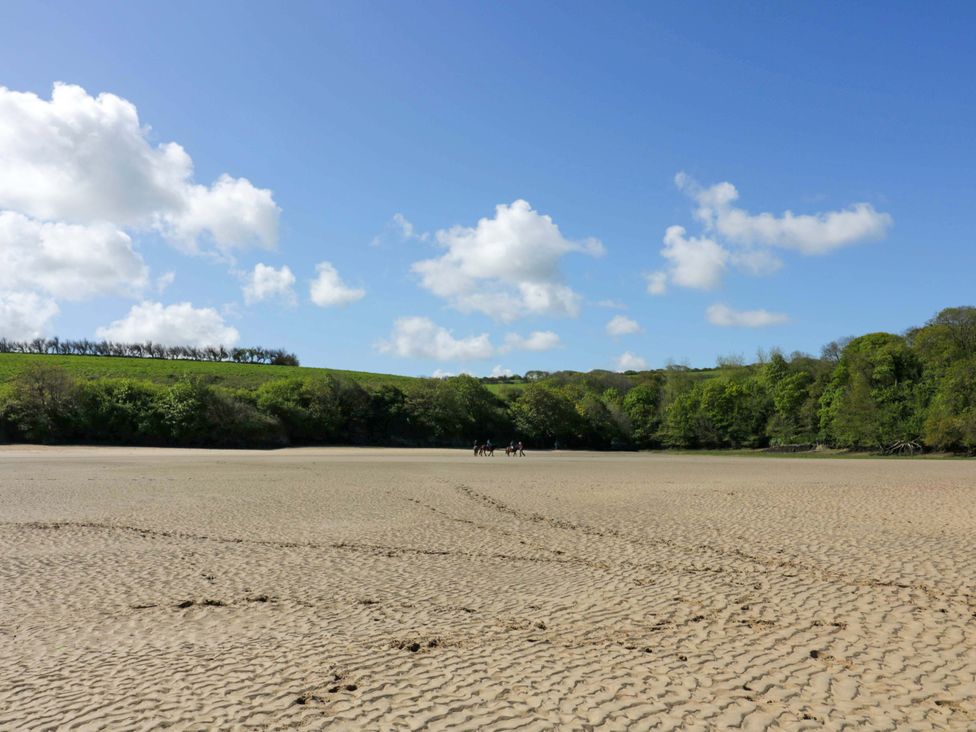 A scenic landscape with trees and sand at Meadow 46 in Newquay