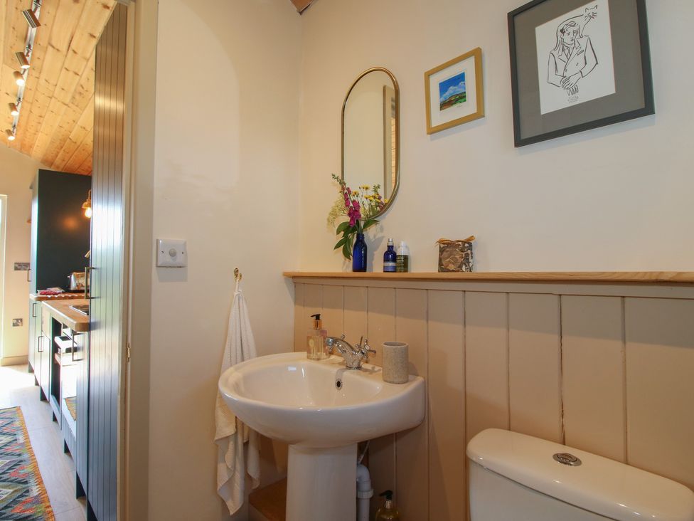 A bathroom with a sink and toilet at Owl's Hollow Chapel Lawn near Clun