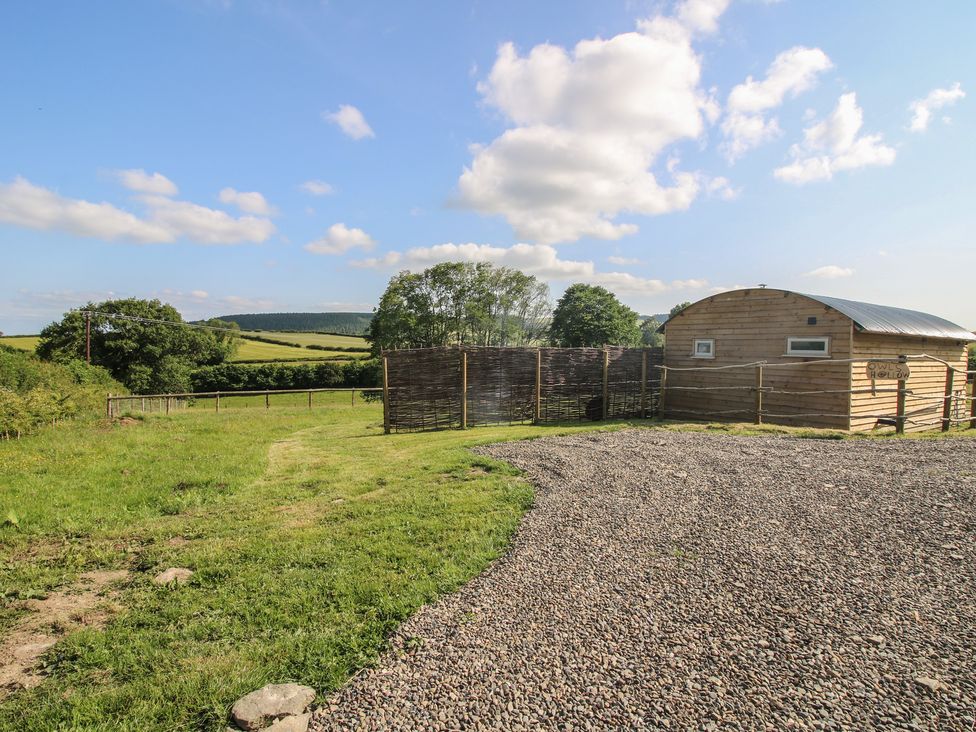An outdoor area with a wooden building and grassy landscape at Owl's Hollow in Chapel Lawn near Clun