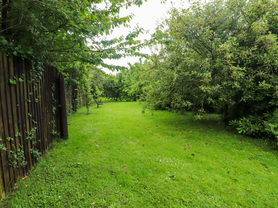 A garden with trees and a grassy area at 2 Llainwen in Ty Croes