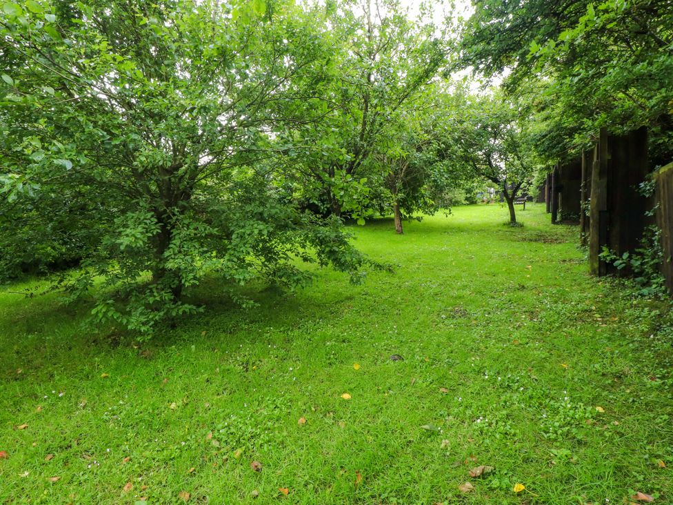 An outdoor area with trees and grass at 2 Llainwen Ty Croes