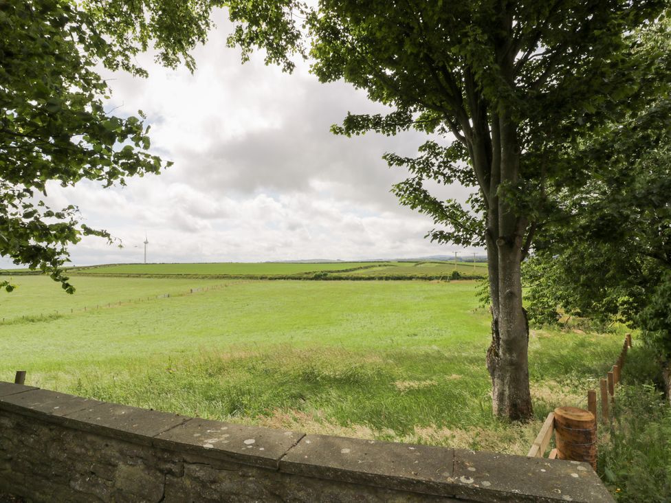 An open field with a tree and a wind turbine at Marshill Farm house, Lanark