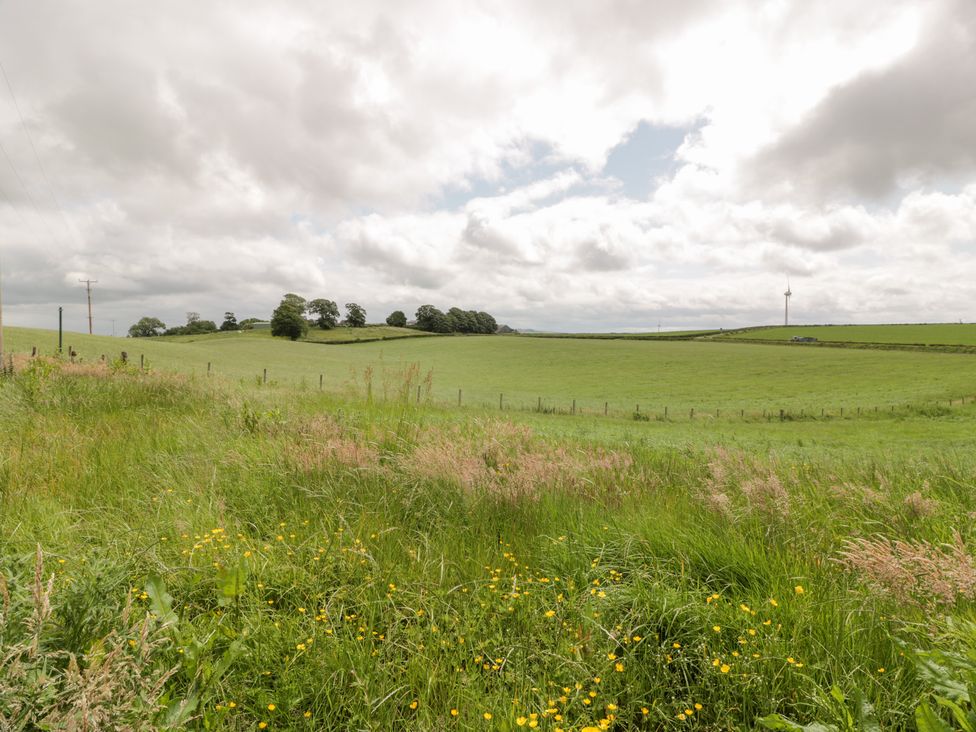 A field with grass and wildflowers at Marshill Farm house Lanark