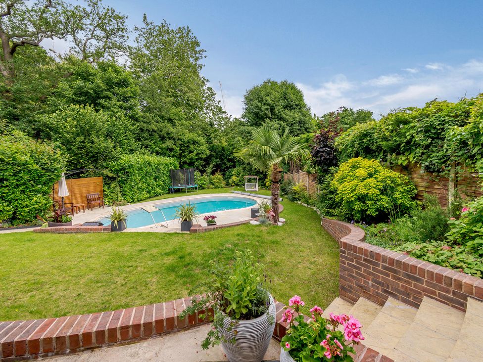 A garden with a swimming pool and palm tree at Forest Getaway