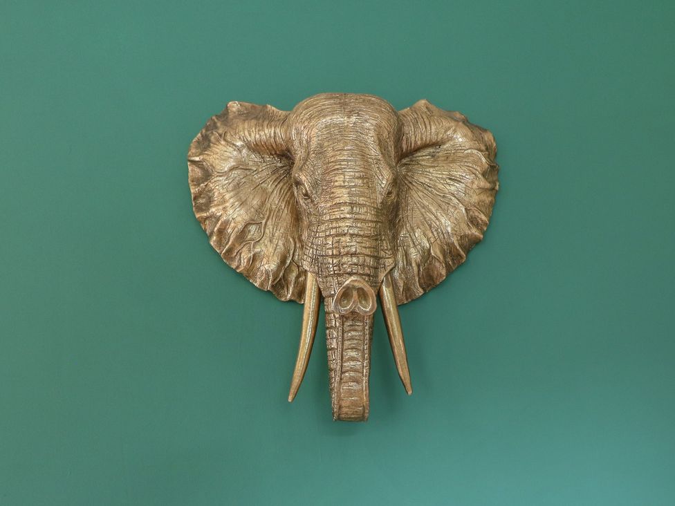 A decorative elephant head mounted on a green wall at James Ville Marina Lodge 22 Brigg