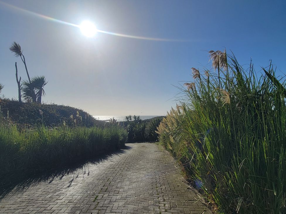 A pathway surrounded by plants leading towards the ocean at Plas Darien no 28 Trearddur Bay