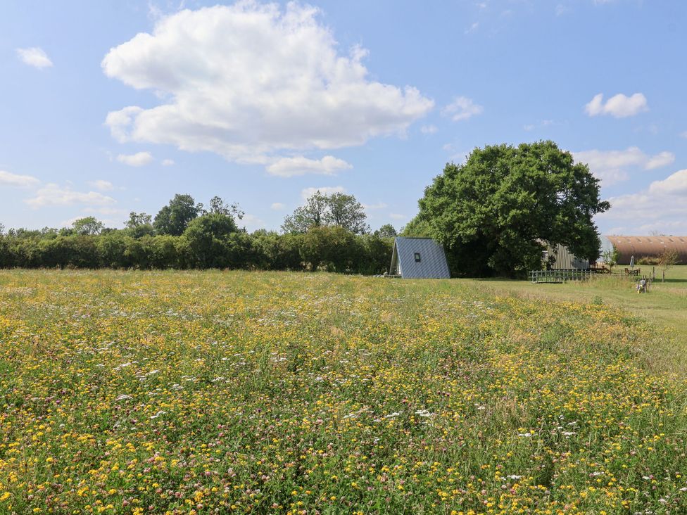 A scenic field with wildflowers and a shed at Monewden near Otley, Suffolk