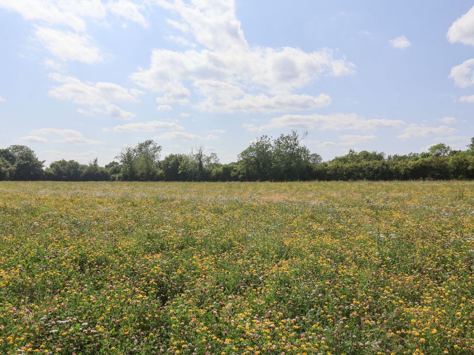 A field with flowers and trees in the background at 1 Bed Sleeps 2, Shared Bathroom, Monewden near Otley, Suffolk