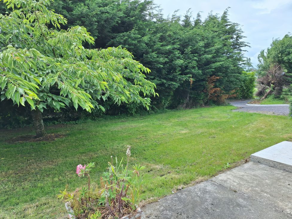 A garden with a tree and grass at Lilly's Bungalow in Timoleague