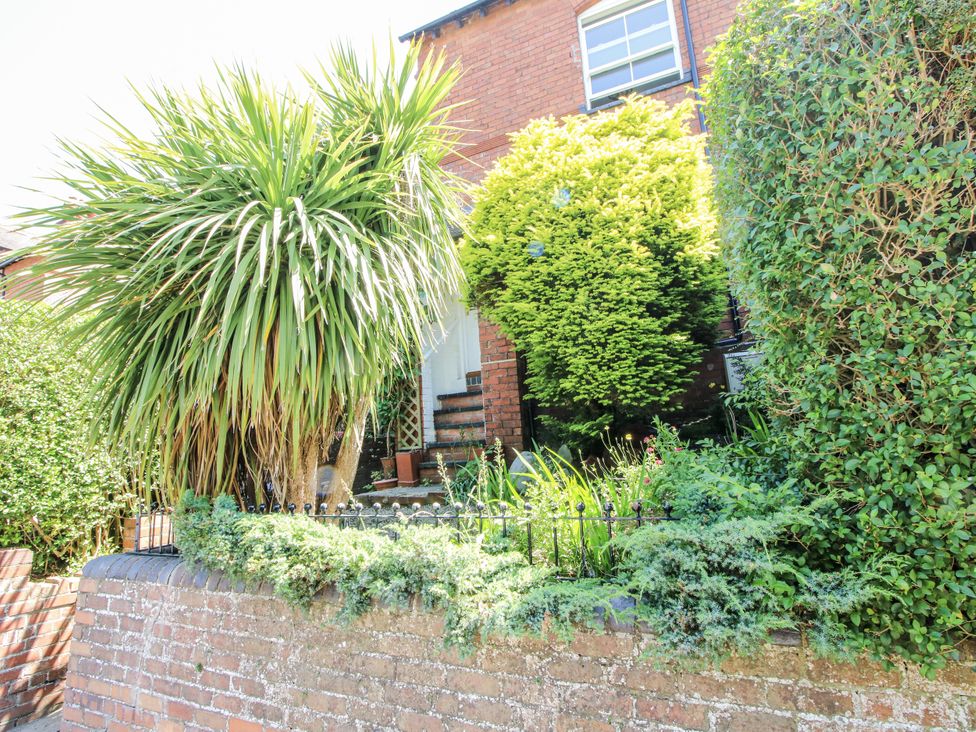 A garden with various plants and a brick wall at 157 Watling Street South in Church Stretton