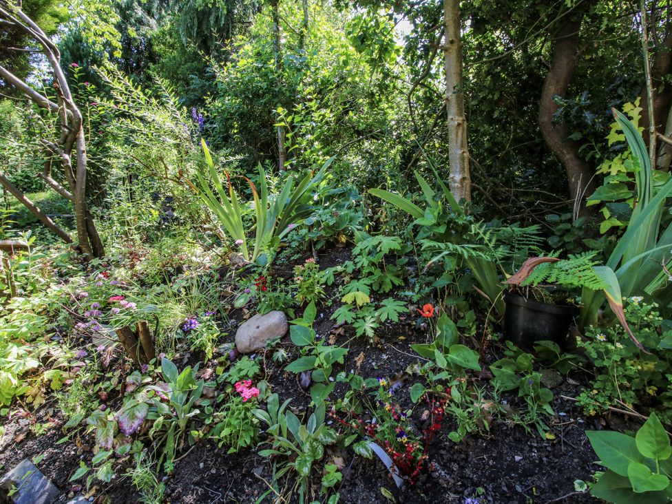 A garden area with various plants and flowers at 157 Watling Street South Church Stretton
