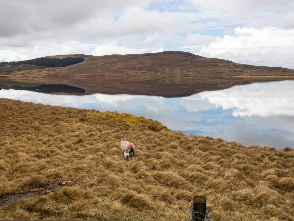 Carrowreagh - County Sligo - 1178091 - thumbnail photo 22