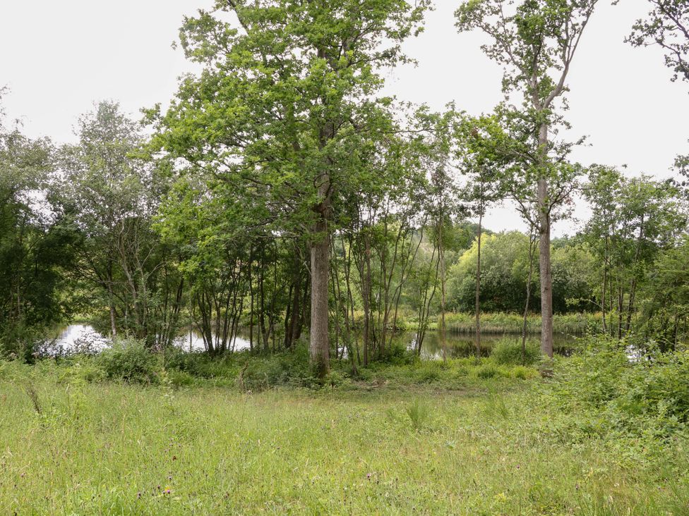 A grassy area with trees and a pond at Lakeside Lodge near Witherenden Hill