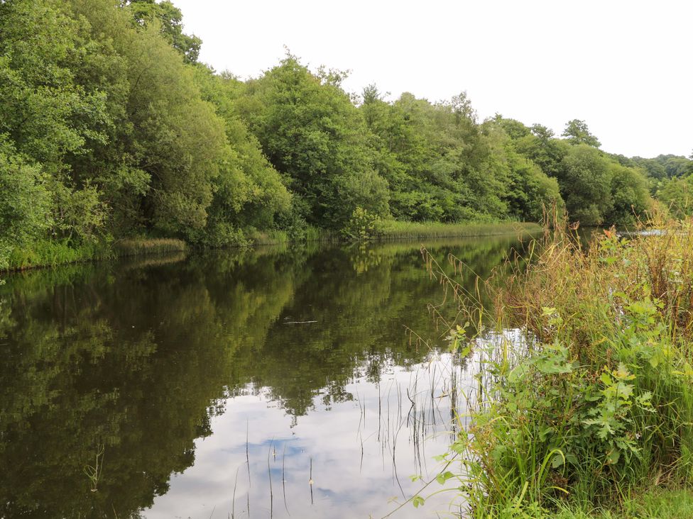 A riverbank with trees and grass near a calm water surface at Lakeside Lodge Witherenden Hill near Burwash