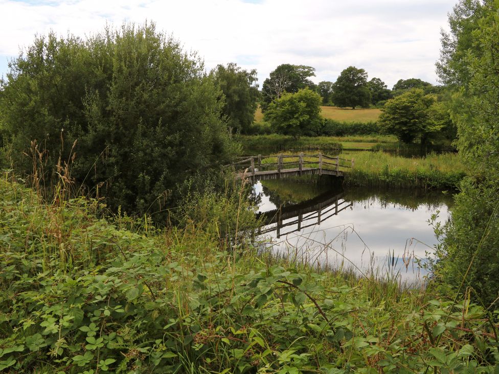 A pond with a wooden bridge surrounded by grass and trees at Lakeside Lodge in Witherenden Hill near Burwash