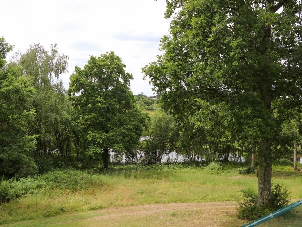 A view of trees and water at Lakeside Lodge in Witherenden Hill near Burwash