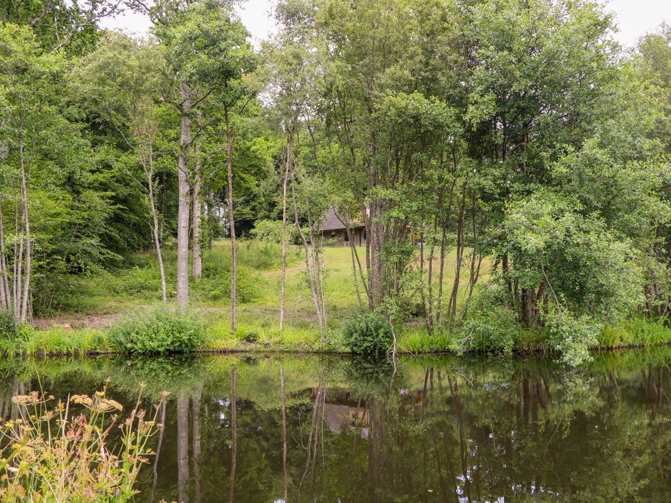 A view of trees and a building by the water at Lakeside Lodge Witherenden Hill near Burwash