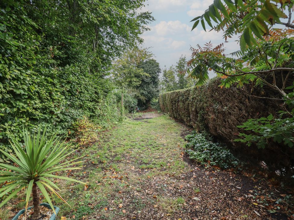 A garden with a pathway bordered by hedges and plants at Conisholme North Thoresby