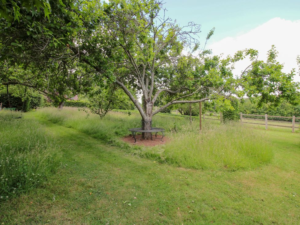 A garden with a tree and bench at Uplands House in Ledbury