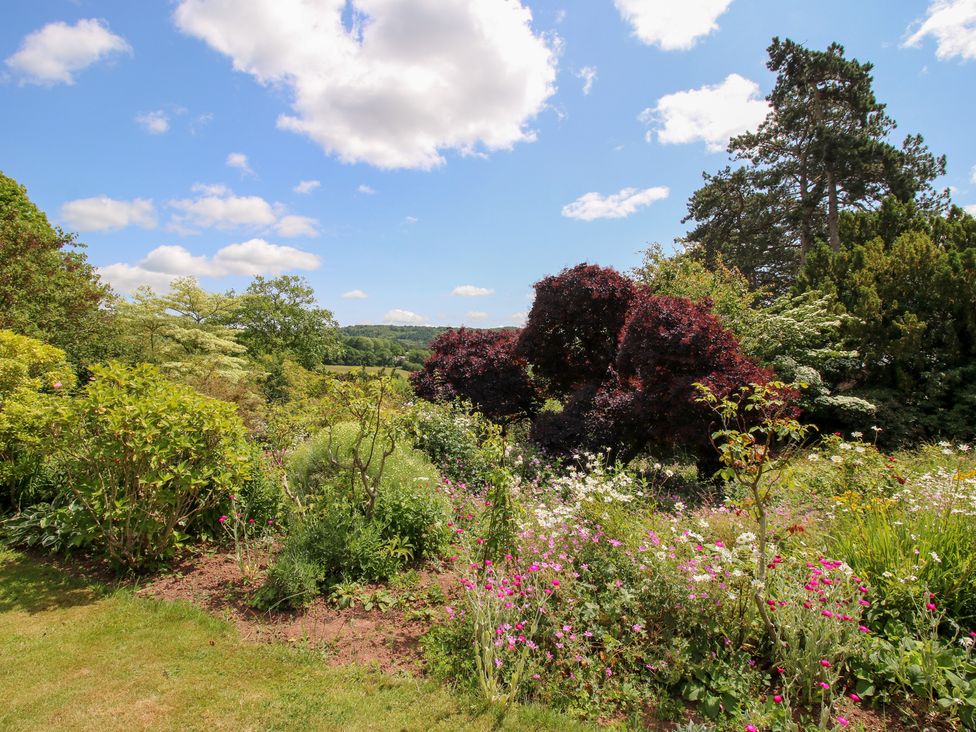 A garden with various plants and trees at Uplands House in Ledbury