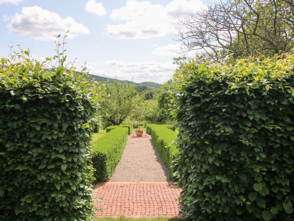 A garden with hedges and a pathway leading to a flowerpot at Uplands Cottage Ledbury