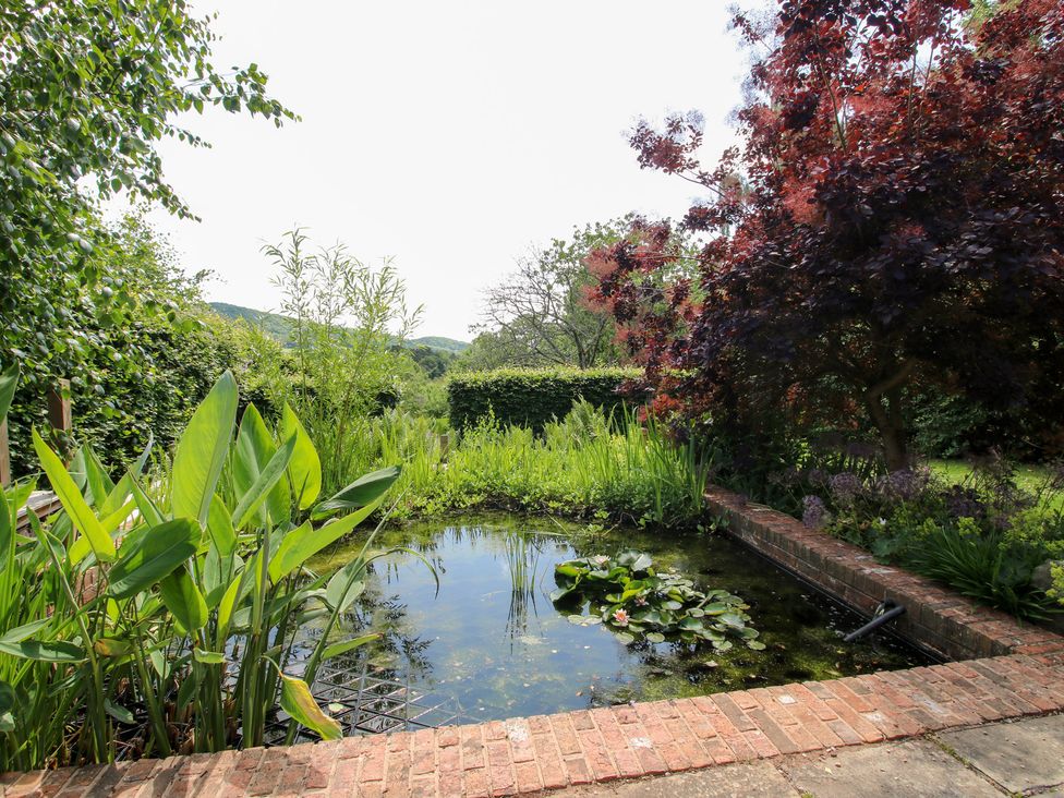 A garden with a pond and various plants at Uplands Cottage in Ledbury