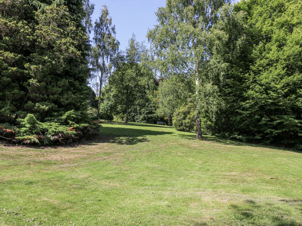 A garden area with trees and a bench at Little Birchinlea in Glossop