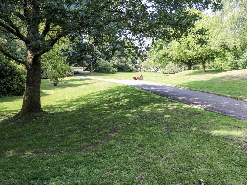 A park with trees and a path at Little Birchinlea in Glossop