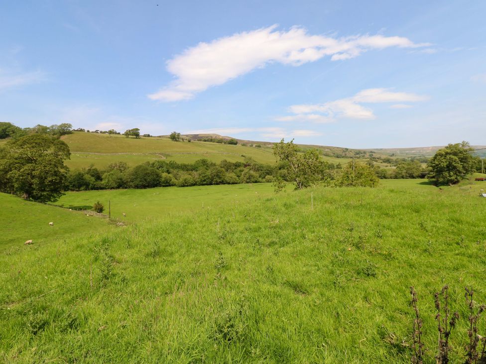 A green field with trees and sheep at West Barn 
