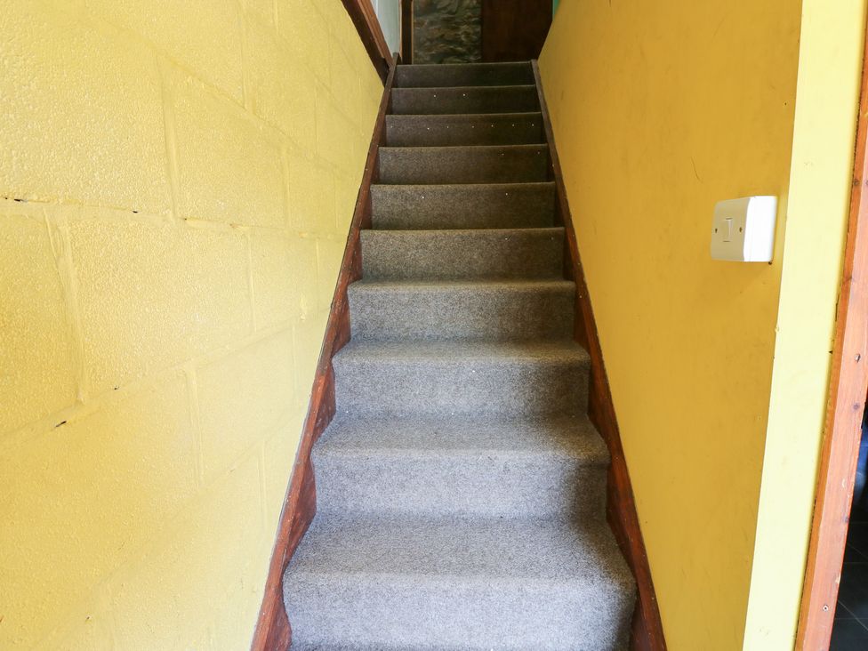 A staircase with carpet and yellow walls at East Barn Bunkhouse