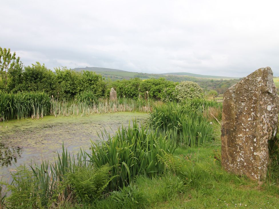 A view of a pond with reeds and stones at The Dovecote in Fishguard