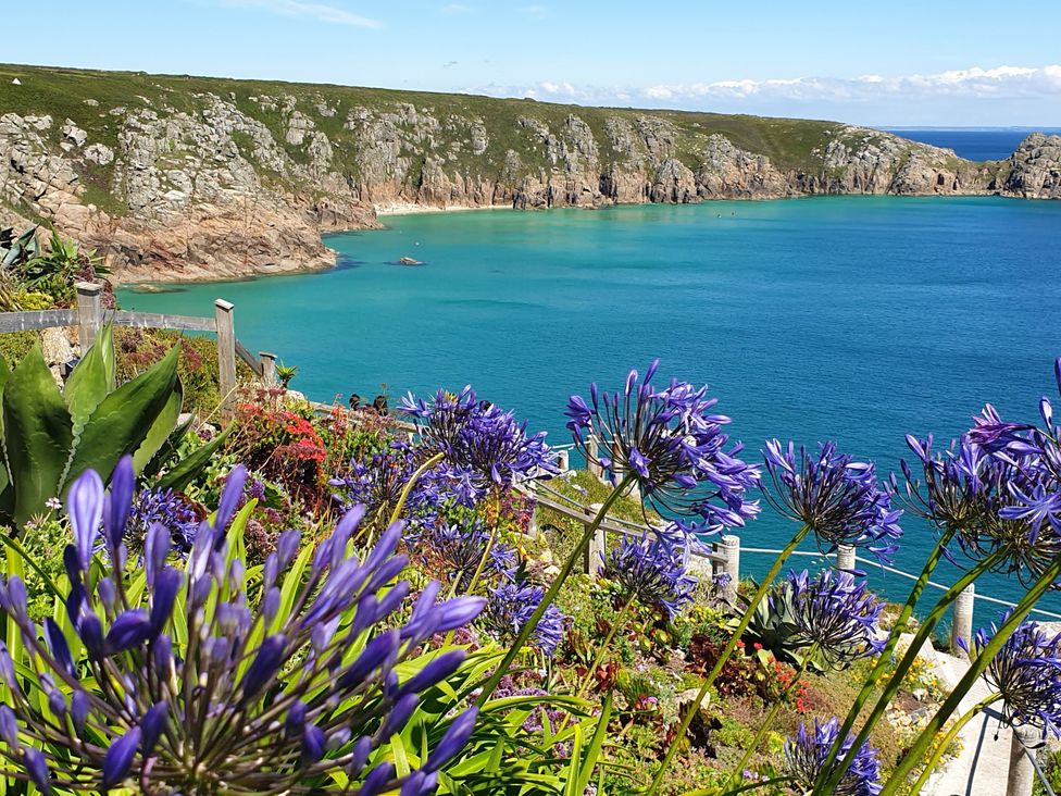 A coastal view with flowers and water at Tater-Du in Porthcurno near Land’s End