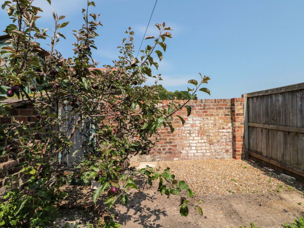 A garden with an apple tree and a gravel ground at Moot Cottage in Driffield
