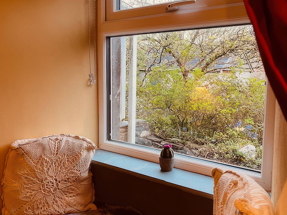 A sitting room with a window and a plant at Sunnybrae Cottage in Tintagel