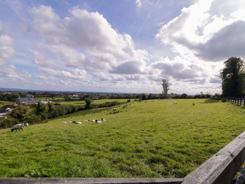 A green field with sheep grazing and a fence at Molly's Cottage in Enniskillen