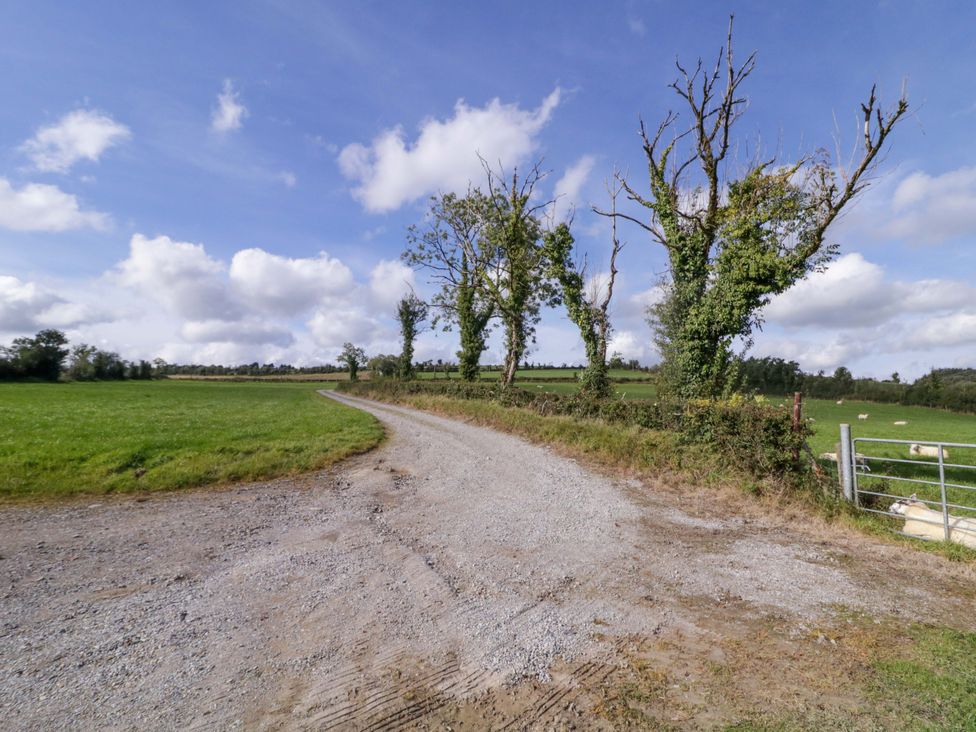 A gravel road with trees and a field at Molly's Cottage Enniskillen