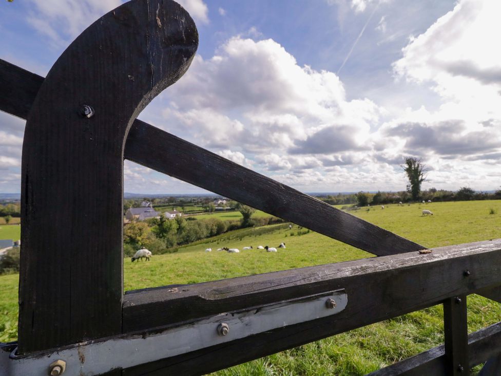 A view of a field with sheep and a wooden gate at Molly's Cottage Enniskillen