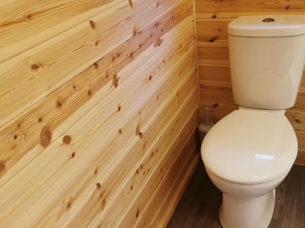 A toilet next to a wooden wall at Lodge 1 Pontyates