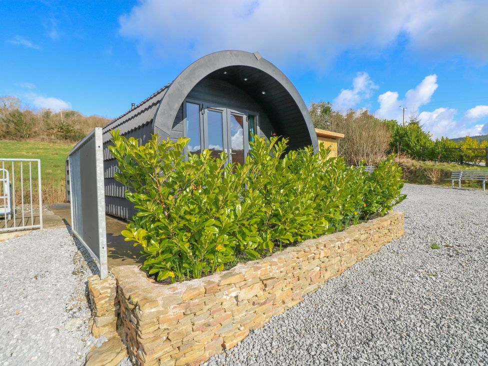 A modern house with plants in front at Lodge 1 near Pontyates