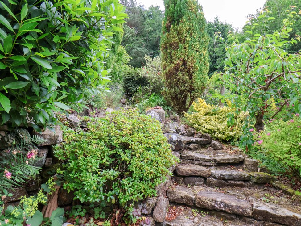 A garden with stone steps and various plants at 5 Hollins Cottages in Whitby