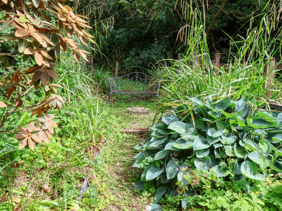 A garden with a bench surrounded by plants at 5 Hollins Cottages in Whitby