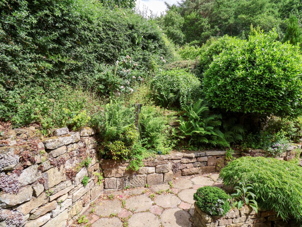 A garden with a stone wall and various plants at 5 Hollins Cottages in Whitby