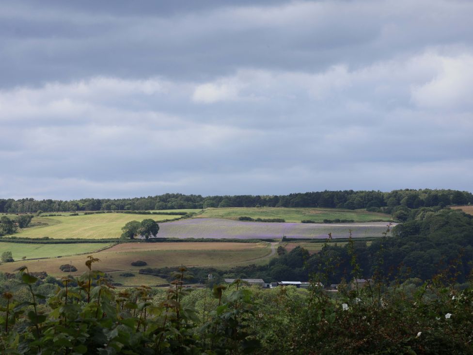 A landscape featuring fields and trees at 5 Hollins Cottages in Whitby