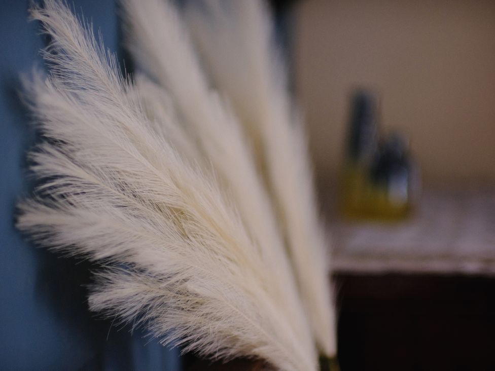 Pampas grass in a decorative setting at The Hideaway in Tintagel
